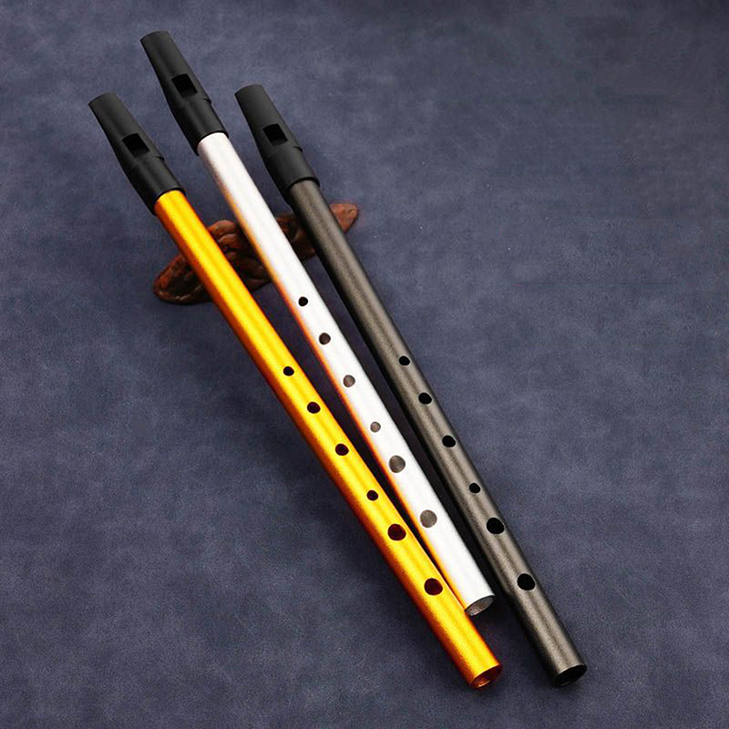 Penny Whistle D - Flauto irlandese autentico a 6 fori,