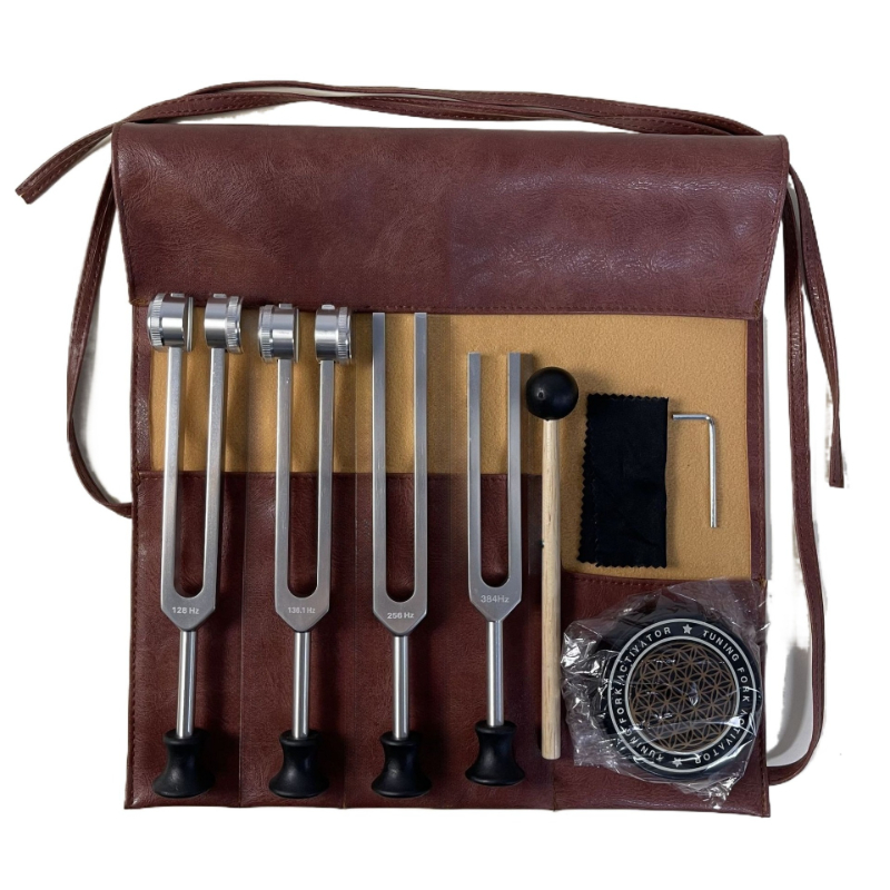 Set di diapason medico Meditaz - Musical Instrument Kit recensione e prezzo