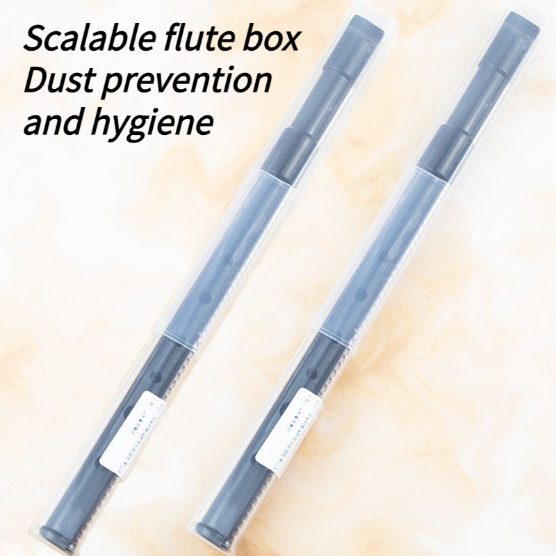 Fischietto di latta in resina  - Penny Whistle D recensione e prezzo