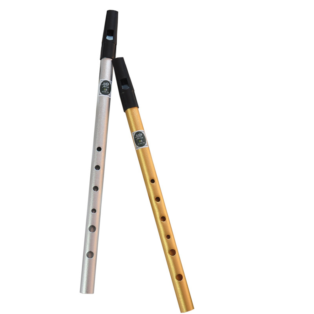 Irish Whistle Flute C/D Key Ir - Penny Whistle D recensione e prezzo