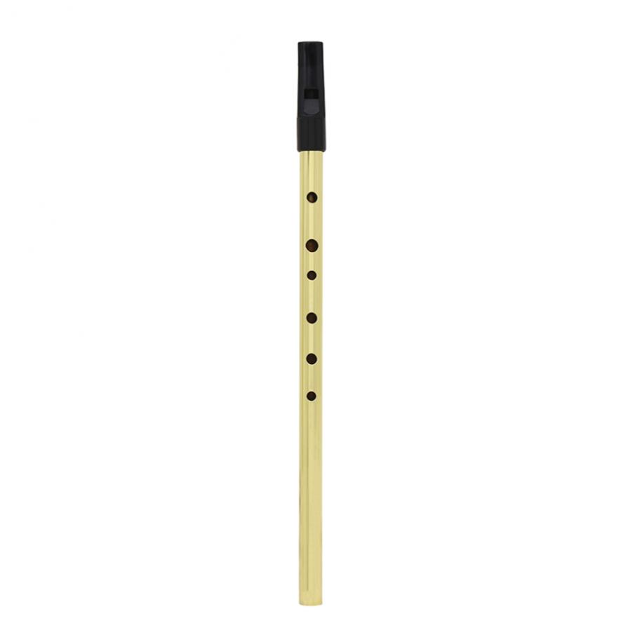 Fischio irlandese flauto Sopra - Penny Whistle D recensione e prezzo