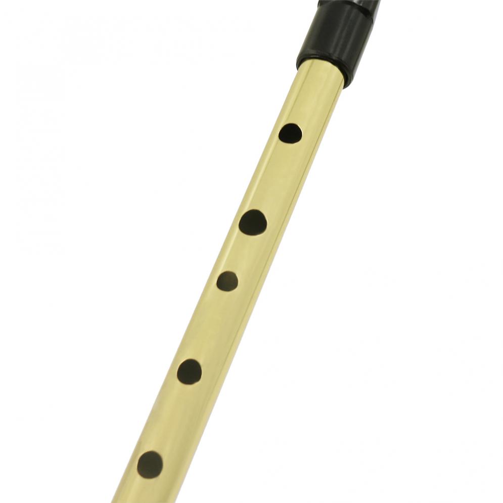 Fischio irlandese flauto Sopra - Penny Whistle D recensione e prezzo