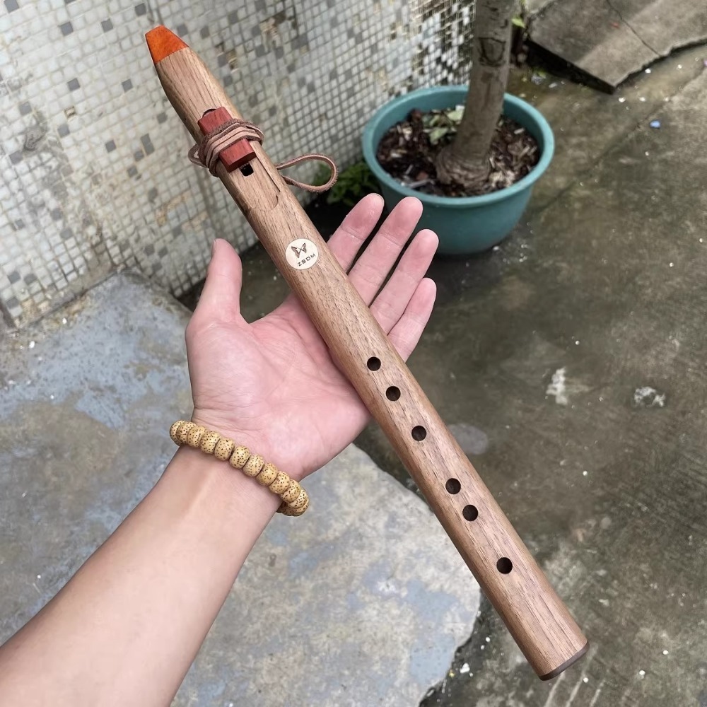 Flauto Verticale in Legno Tono - Musical Instrument A Recorder recensione e prezzo
