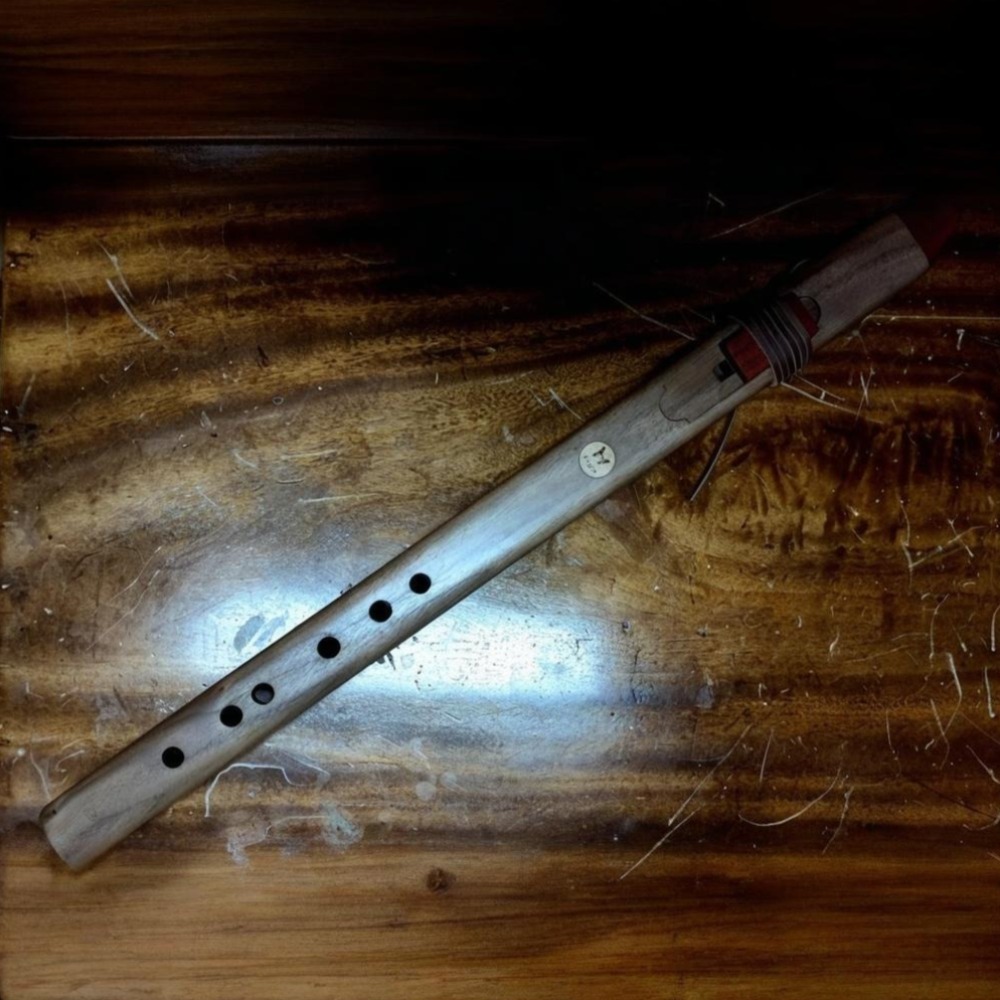 Flauto Verticale in Legno Tono - Musical Instrument A Recorder recensione e prezzo