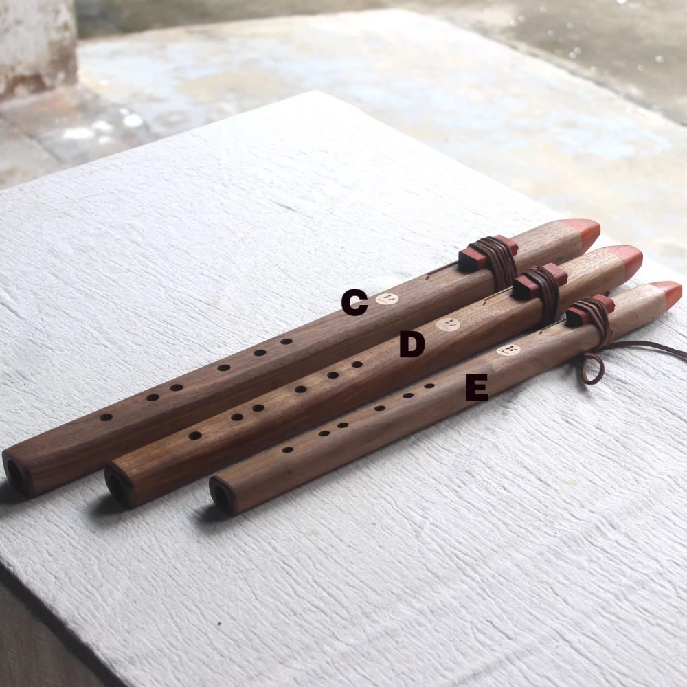 Flauto Verticale in Legno Tono - Musical Instrument A Recorder recensione e prezzo