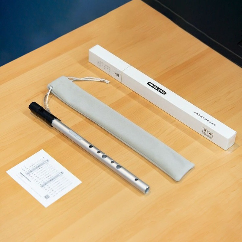 Fisarmonica a 6 Fori in Tonali - Penny Whistle D recensione e prezzo