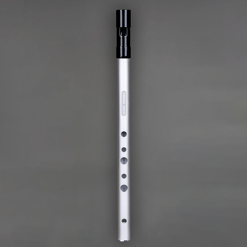 Fisarmonica a 6 Fori in Tonali - Penny Whistle D recensione e prezzo