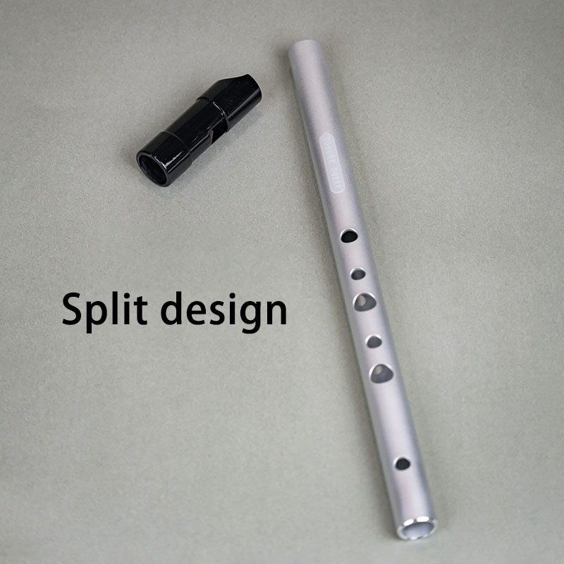 Fisarmonica a 6 Fori in Tonali - Penny Whistle D recensione e prezzo