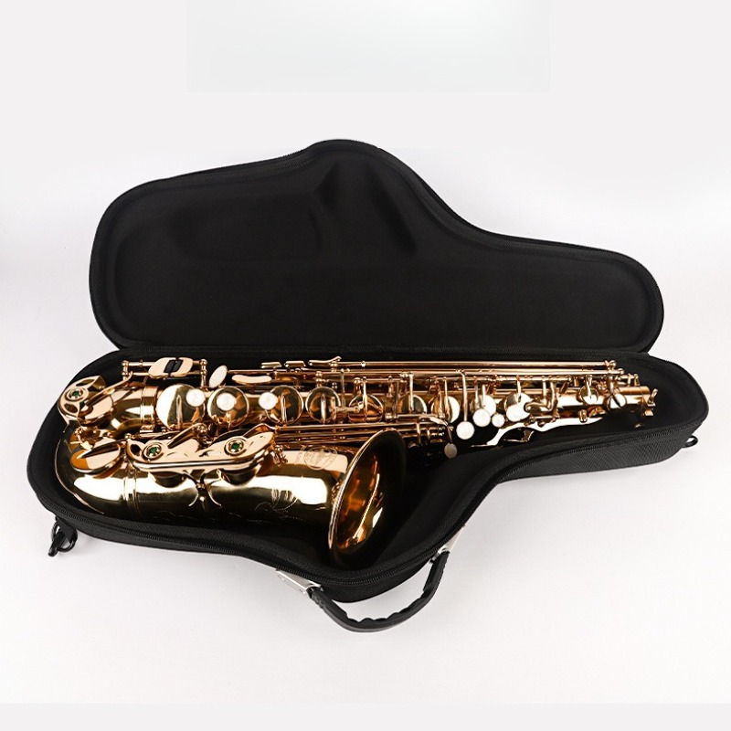 Borsa per sassofono contralto  - Musical Instrument Saxophone recensione e prezzo