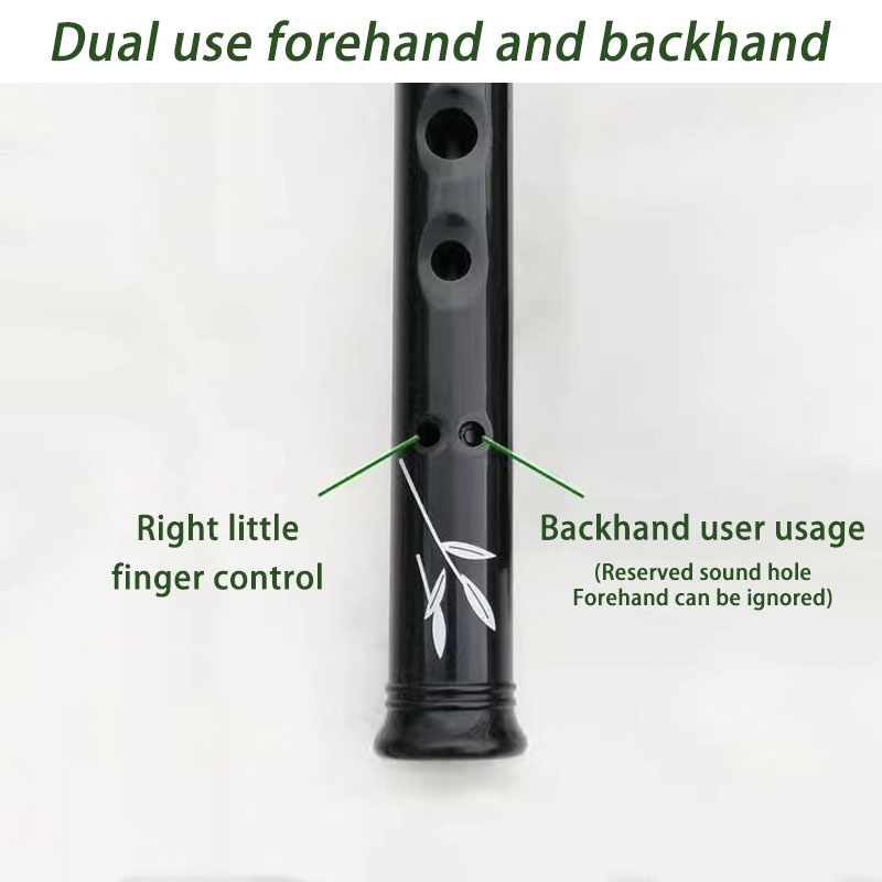 Flauto di Tin in Resina D/C pe - Penny Whistle D recensione e prezzo
