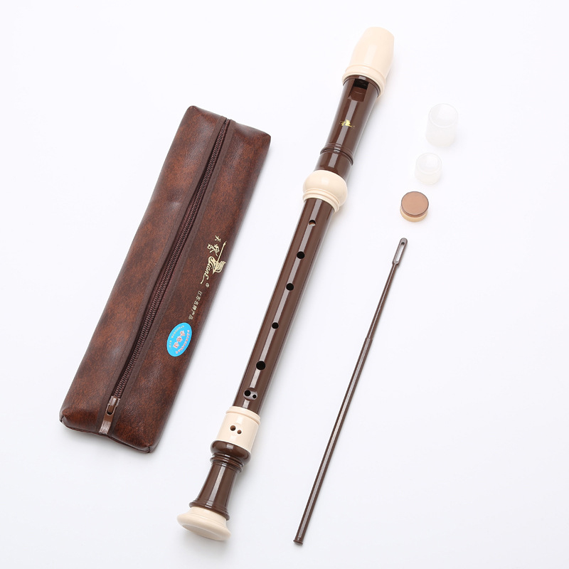 Swan-8 fori registratore baroc - Musical Instrument A Recorder recensione e prezzo
