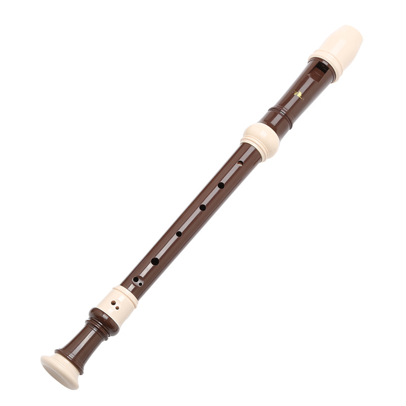 Swan-8 fori registratore baroc - Musical Instrument A Recorder recensione e prezzo