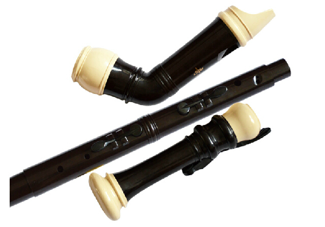 Clarinetto professionale in re - Musical Instrument A Recorder recensione e prezzo