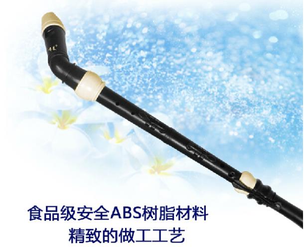 Clarinetto professionale in re - Musical Instrument A Recorder recensione e prezzo
