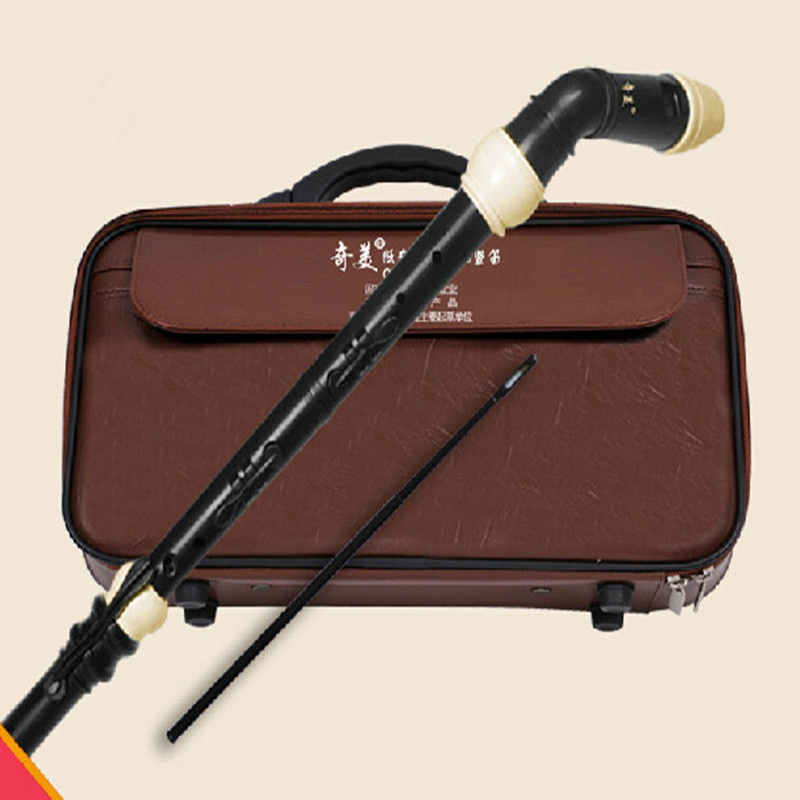 Clarinetto professionale in re - Musical Instrument A Recorder recensione e prezzo