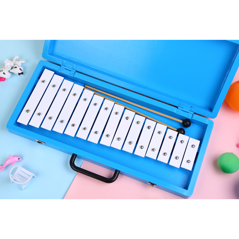 Glockenspiel Xilofono Elenco d - Musical Instrument With Name recensione e prezzo