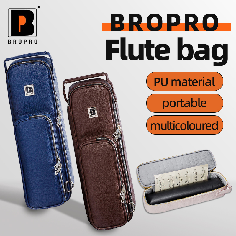 Bropro Custodia Portatile a Za - Musical Instrument Bag recensione e prezzo