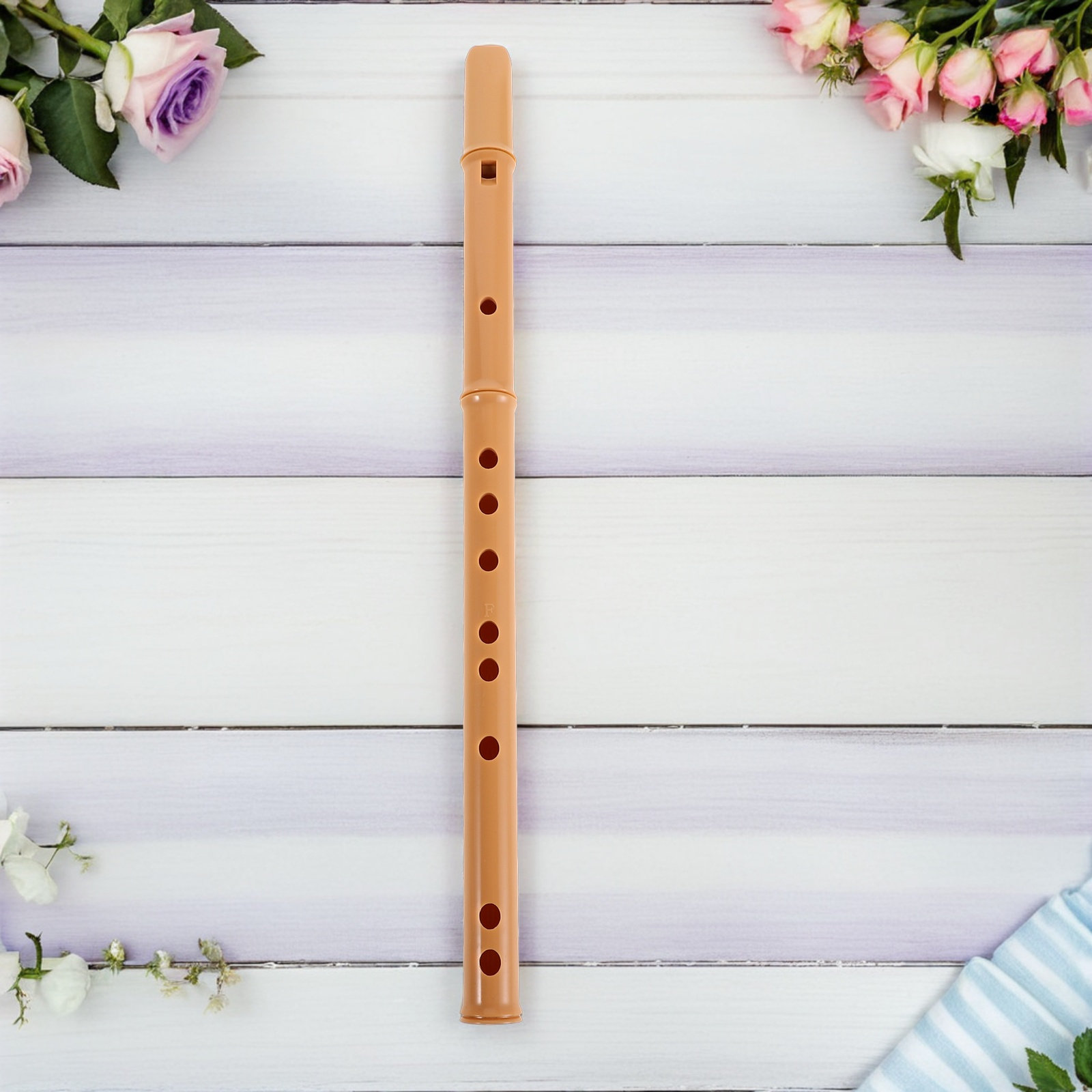 Flauto dolce in resina smontab - Musical Instrument A Recorder recensione e prezzo